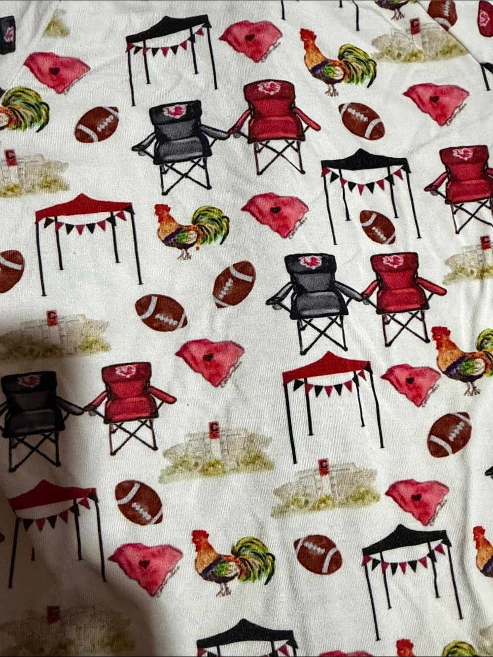 Bamboo shortie|South Carolina Gamecocks football print|12-18M